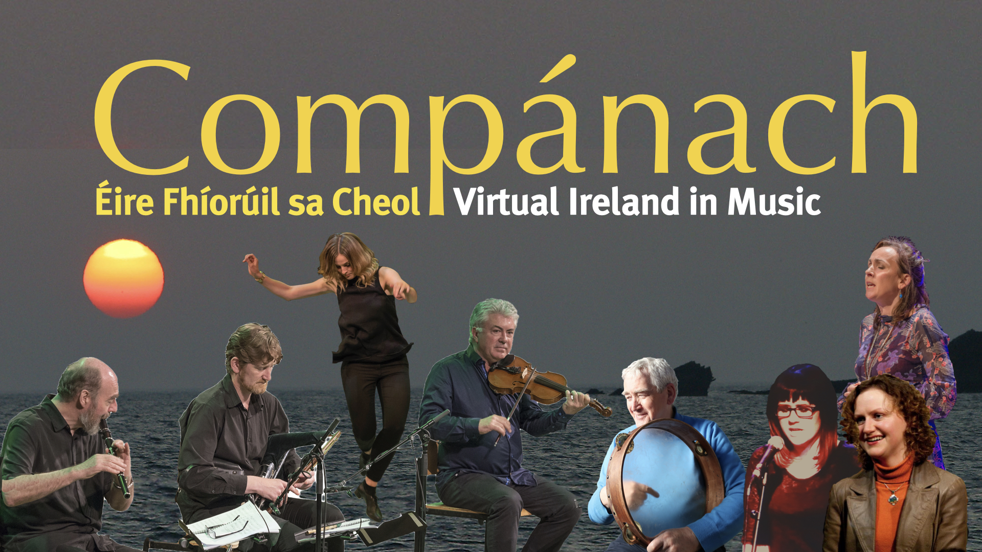 Traditional Irish Flute and Music Education · Fintan Vallely